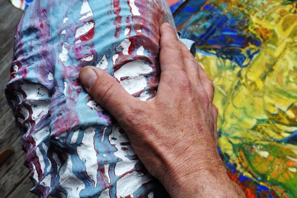 duplicantumpixumphotocouvertureb1