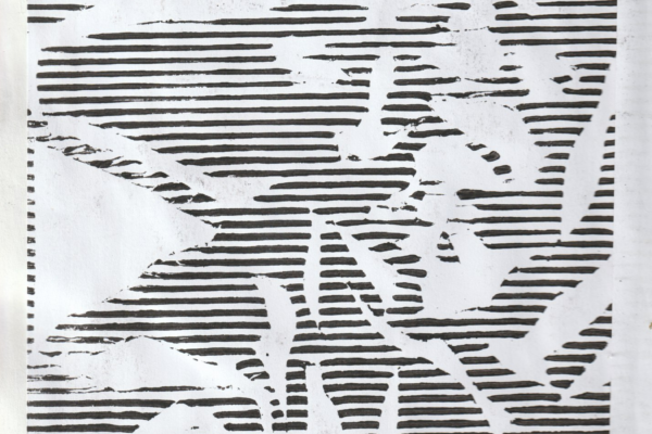 portrait cow boy gravure