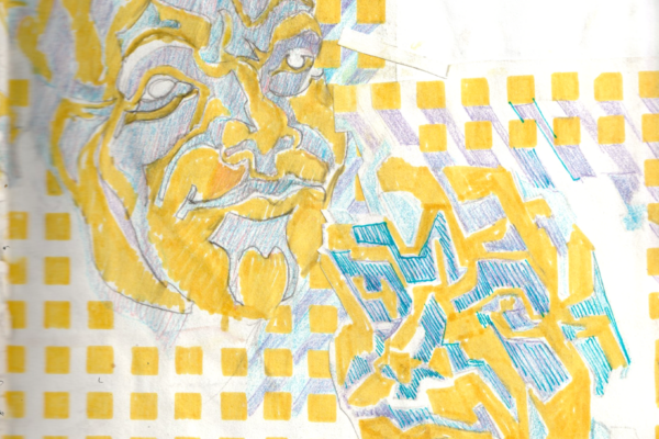 portrait fantaisie crayon de couleur