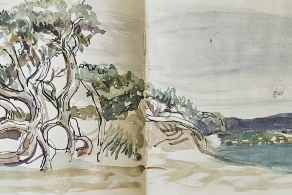 botanique méditérannée