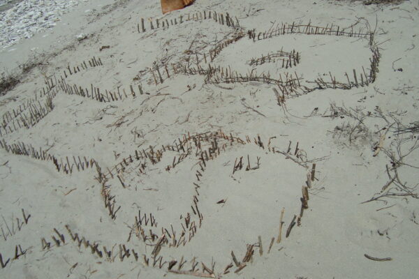 croquis dans sable 003