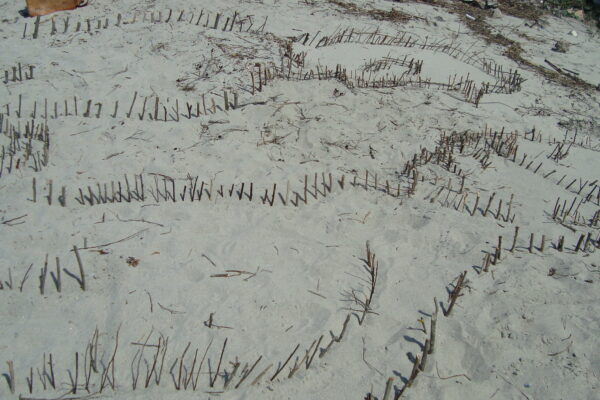 croquis dans sable 004