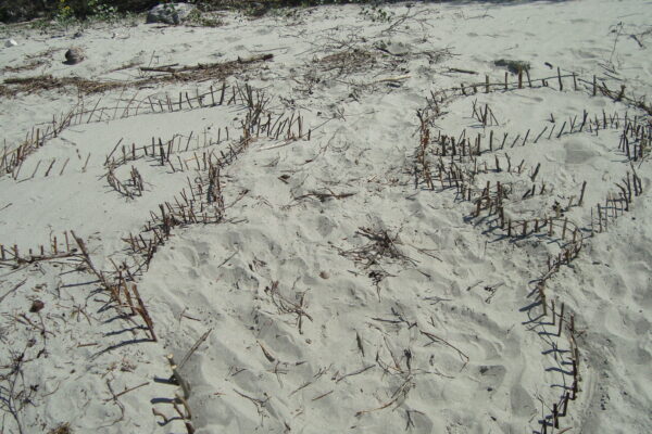 croquis dans sable 005