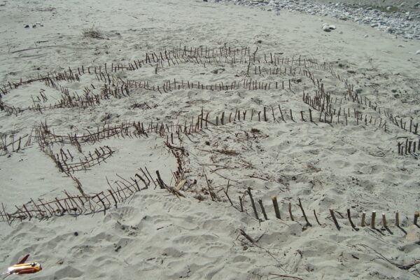 croquis dans sable 010