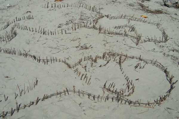 croquis dans sable 011