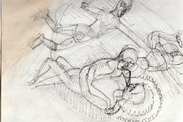 distorsion de la vision.1