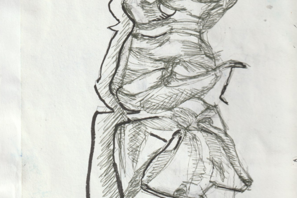 insecte encre de chine 1