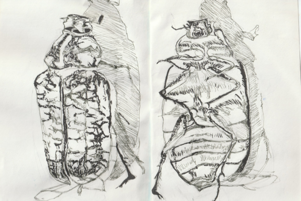 insecte encre de chine 4