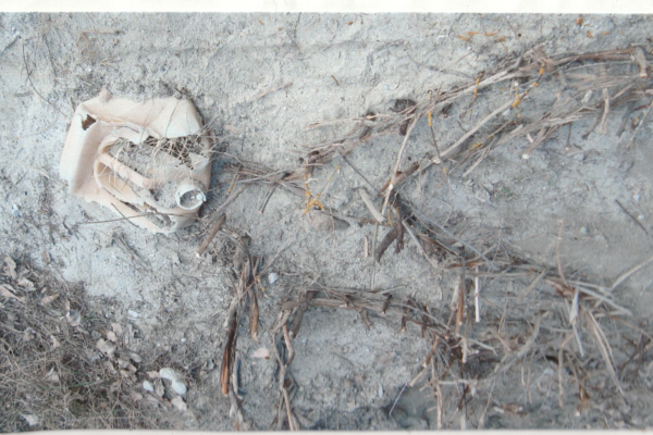 mémoire ouvrière dessin 67 projet.....